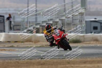 media/Mar-02-2025-Race Pace (Sun) [[8bec80ae00]]/12-Vested (Turn 2) 1111am/